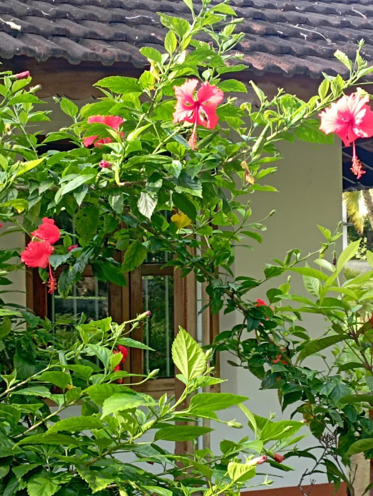 Gramam Homestay, Cochin Kochi Εξωτερικό φωτογραφία